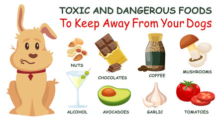 Toxic and dangerous foods to avoid feeding your dogs.のイラスト素材