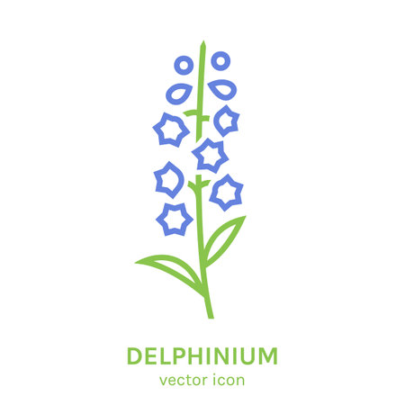 Delphinium nuttallianum. Editable vector illustration isolated on a transparent background.のイラスト素材