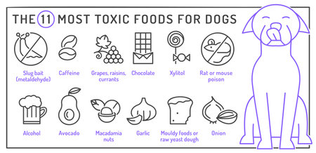 What is poisonous to dogs. Editable vector illustrationのイラスト素材