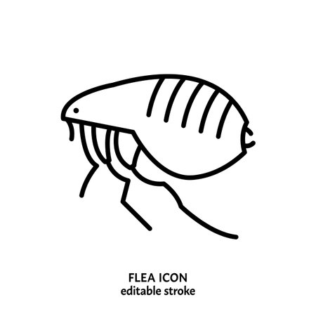 Human flea sign. Blood-sucking insect pictogram. Outline icon.のイラスト素材