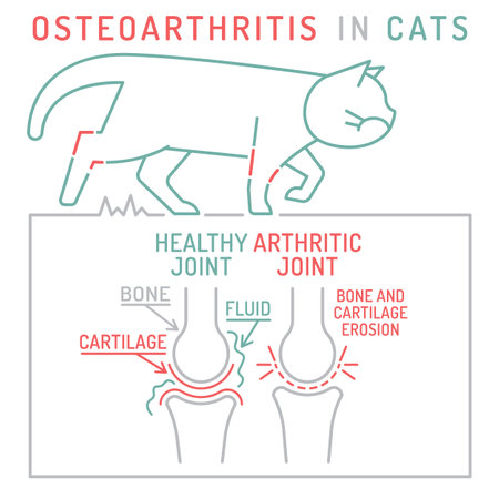 Arthritis, osteoarthritis in cats. Widespread feline disease.のイラスト素材
