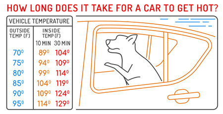 How long does it take for a car to get hot. Medical infographic.のイラスト素材