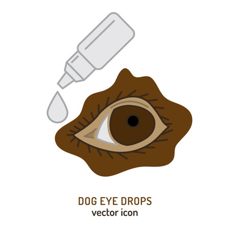 Eye injury in dogs. Eye drops icon, pictogram, symbol.のイラスト素材