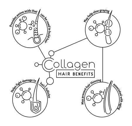 Benefits of collagen for hair. Vector illustration.のイラスト素材