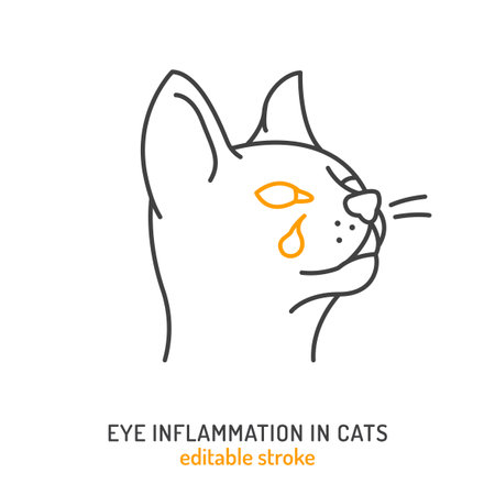 Conjunctivitis in cats. Linear icon, pictogram, symbol.のイラスト素材
