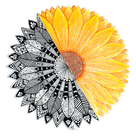 Sunflower artwork half in mandala and half sketch art work.の写真素材