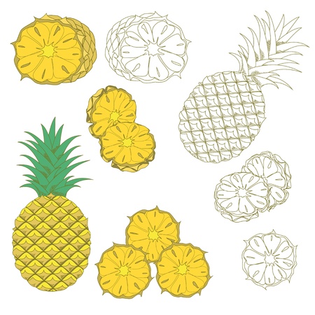 Set of colored and hand drawn pineapples on the white background. Isolated icon.のイラスト素材