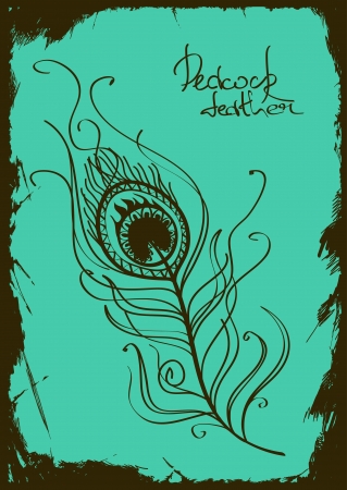Vintage illustration with peacock featherのイラスト素材