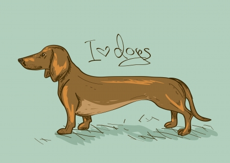Illustration with isolated Dachshund dog のイラスト素材