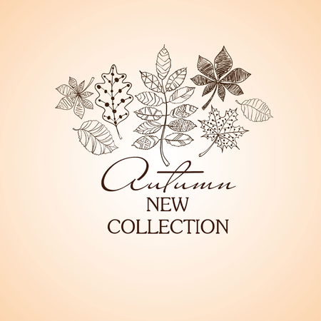 Sketch patterned autumn leaves on a white background. Creative autumn concept.のイラスト素材