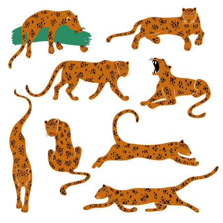 Wild set of leopard. Isolated Leopard icons in action: standing, sitting, running, jumping, lying, growling.のイラスト素材