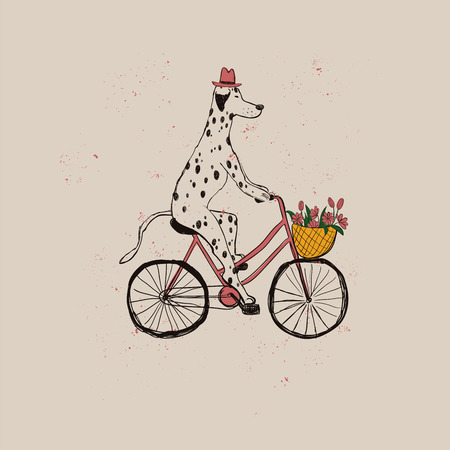 Illustration with cute Dalmatian Dog riding bicycle. Funny greeting card, t-shirt design, print, sticker or poster.のイラスト素材