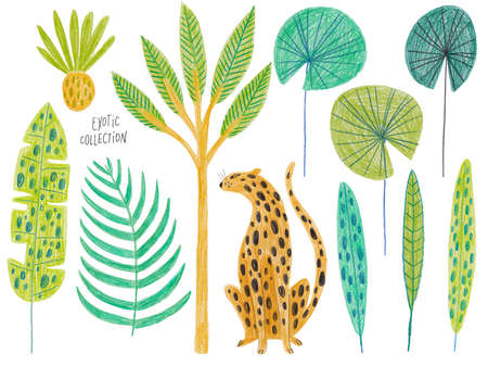 Colorful seamless pattern with exotic plants. Kids funny background. Hand drawn with colored pencils.の写真素材