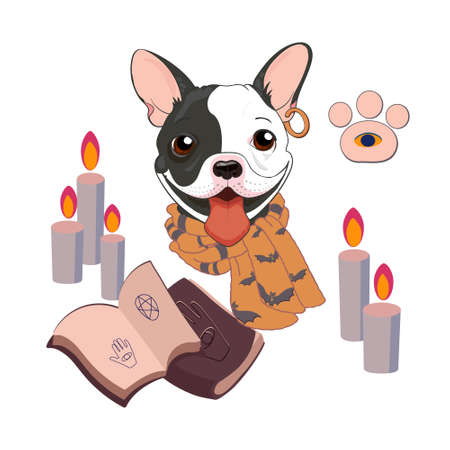 A mystical illustration demonstrating fortune-telling. Dog predicts the future. Attributes of occultism: magic books, candles, bats pattern scarf. Isolated vector on white backgroundのイラスト素材