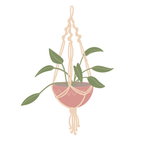Macrame with a flower in a pot, hanging mount. Handmade boho decor. Isolated, hand-drawnのイラスト素材