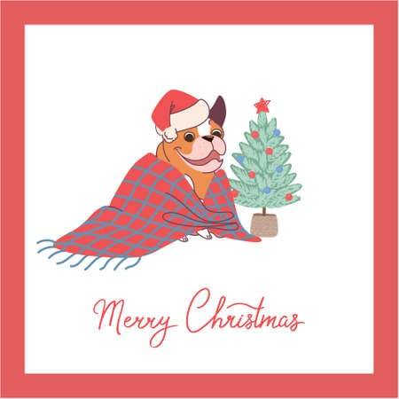 Christmas card with bulldog sitting in a blanket near a christmas tree. Vector illustration in flat style isolated on white backgroundのイラスト素材