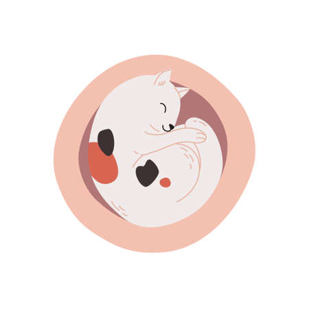 Charming tricolor kitten lies and naps on the crib at home. A cute cat sleeps in a cat house. Top view of a happy relaxed kitten curled up in ball. Flat vector illustration of animal isolated on whiteのイラスト素材