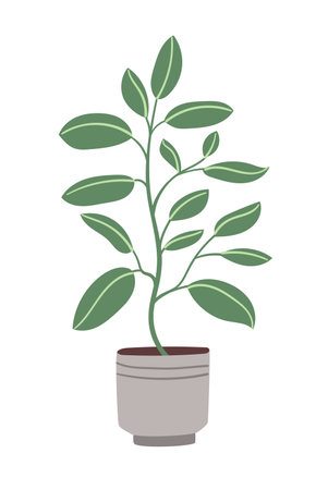 Plant in the pot. Vector illustration in a flat style.のイラスト素材