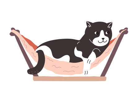 Black and white sleepy kitten lies in a pet bed. Tired charming cat is resting in a pink cat hammock. Cute spotted animal drawn in a flat style. Color vector illustration isolated on white background.のイラスト素材