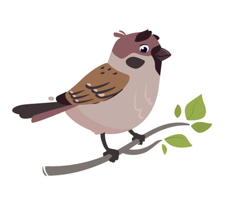 Funny bird Sparrow. Vector illustration of a field sparrow, feathered character. Cute print in flat cartoon style. Isolated on white backgroundのイラスト素材