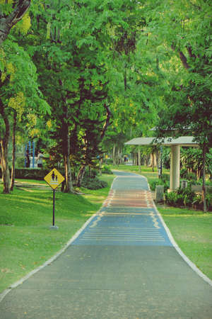 Bicycle path in Public Park at the Benchakitti Park, Bangkok, Thailandのeditorial素材