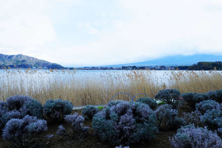 Beautiful view of Lake Kawaguchiko, Japan. Taken in November 2020.の写真素材