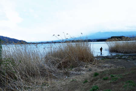 A man walks along the shore of Lake Kawaguchiko, Japan.の写真素材
