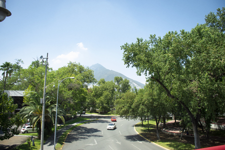 View of trees in Calzada San Pedroのeditorial素材
