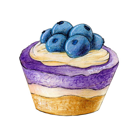 Watercolor hand drawn blueberry cupcake illustration isolated on white background. Cream and blueberries sweet cake dessert. Best for menu, posters, prints, greeting cards, kitchen decorationsの写真素材