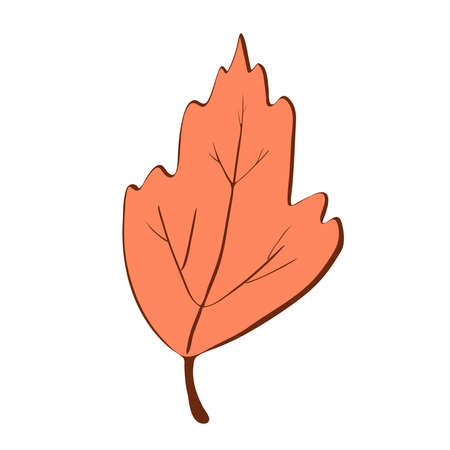 Ecology leaf concept. Isolated on white background. Vector botanical illustration. Hand-drawn doodle floral elements. Spring and summer flower and plant vector in line art outline style.のイラスト素材