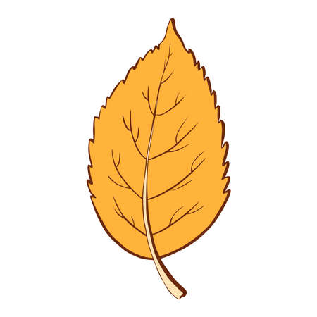 Ecology leaf concept. Isolated on white background. Vector botanical illustration. Hand-drawn doodle floral elements. Spring and summer flower and plant vector in line art outline style.のイラスト素材