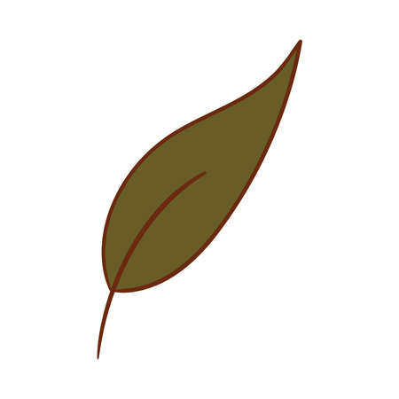 Ecology leaf concept. Isolated on white background. Vector botanical illustration. Hand-drawn doodle floral elements. Spring and summer flower and plant vector in line art outline style.のイラスト素材