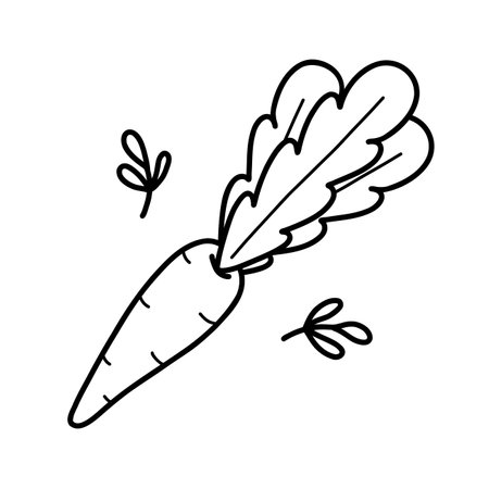 Cute carrots doodle Easter illustration for children. Kids outline vector drawing of carrotのイラスト素材