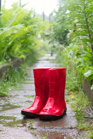 Red gumboots in rain full of waterの写真素材