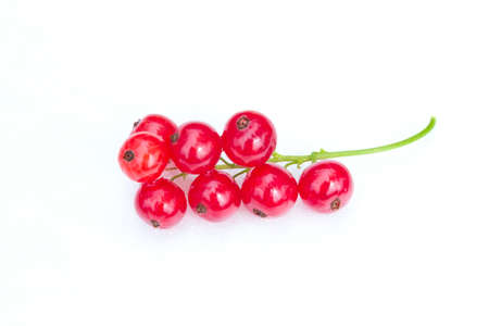 red currant isolated on a white background