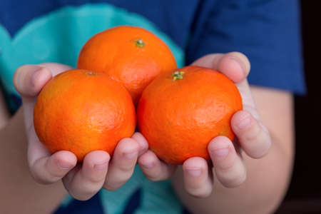 Baby's hands holding tangerine.  Healthy eating concept.の写真素材