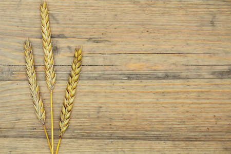 Autumn wheat on old wood textureの写真素材