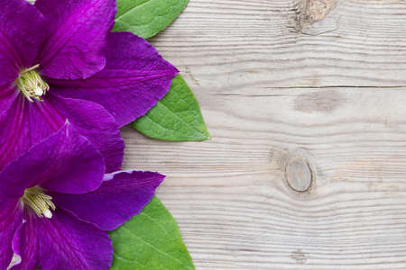 Purple Clematis on wooden background. Floral backgroundの写真素材