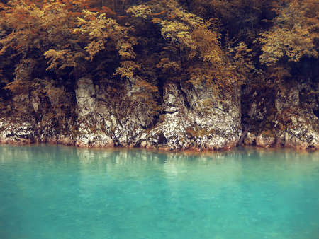 River deep in mountain forest. Nature composition. Nature backgroundの写真素材