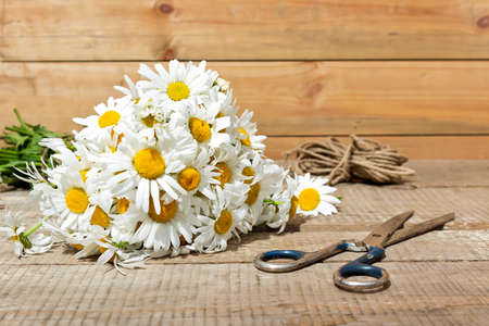 Bouquet of daisies, scissors and rope on wooden backgroundの写真素材