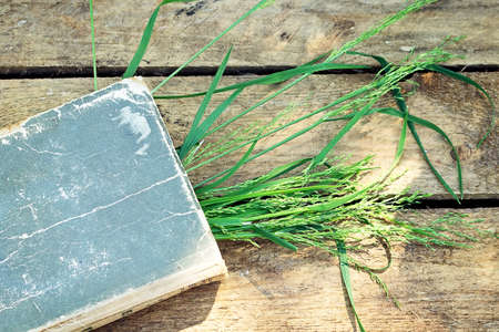 Book and grass on a wooden tableの写真素材