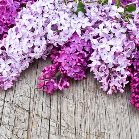 The beautiful lilac on a wooden backgroundの写真素材