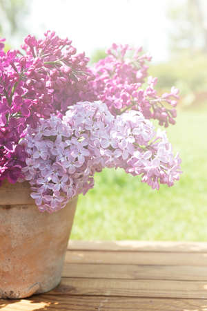 Ceramic pot with a branch of lilac flower on wooden backgroundの写真素材
