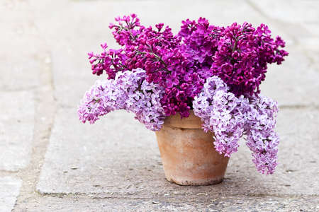Ceramic pot with a branch of lilac flowerの写真素材