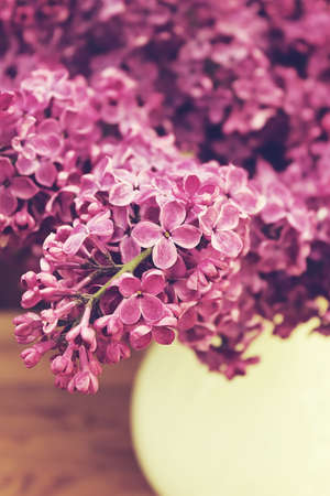Lilac Bouquet in ceramic jugの写真素材