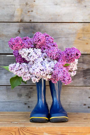 Lilac Bouquet and rubber boots on Wooden background