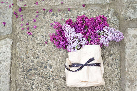 Lilac Bouquet in a paper bag tied with a beautiful ribbonの写真素材