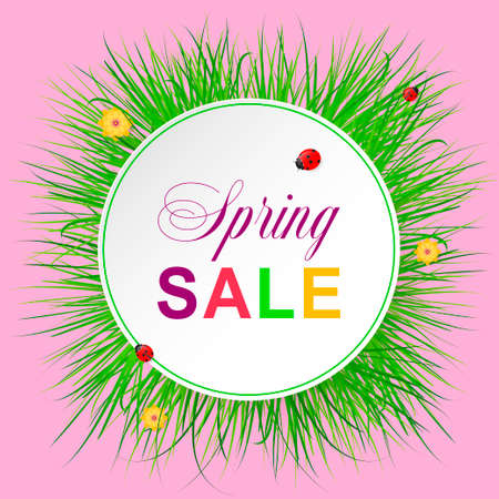 Spring sale background with beautiful flowers. Ladybug. Vector illustrationのイラスト素材
