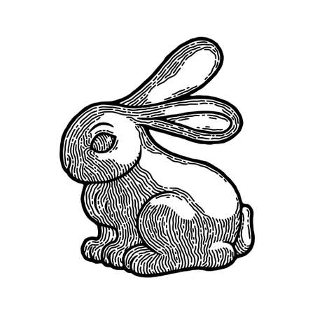 Rustic Easter Bunny as Vector Image. Traditional American Dessert with Milk Chocolate. Image in Retro and Boho Style with Engraving and Monochrome. Cute Baby Rabbitのイラスト素材