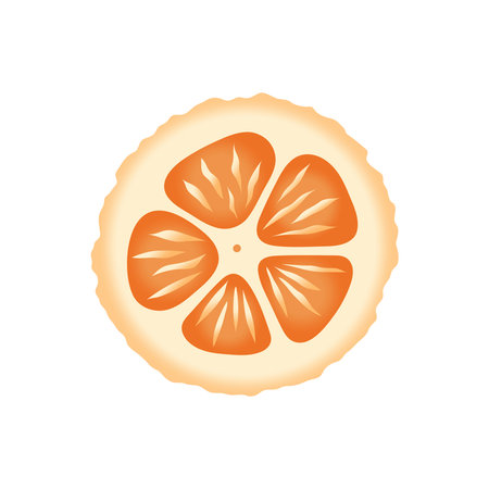 Sliced citrus fruit vector design. Orange, lemon or kumquatのイラスト素材